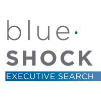 Blue Shock Executive Search