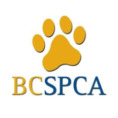 BCSPCA