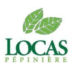 Pépinière Locas