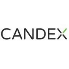 Candex
