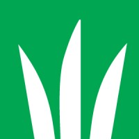 DLF North America