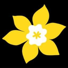 Société canadienne du cancer