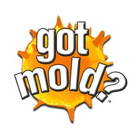 got mold?