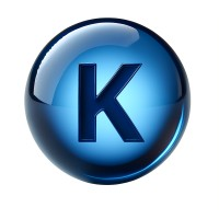 Kinetic Search Group