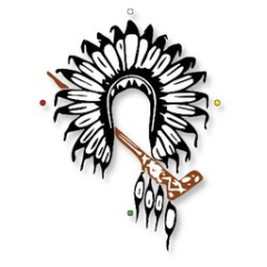 Grand Council Treaty #3