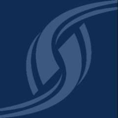 Superion Inc